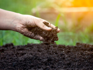 Improving-soil-health.jpg